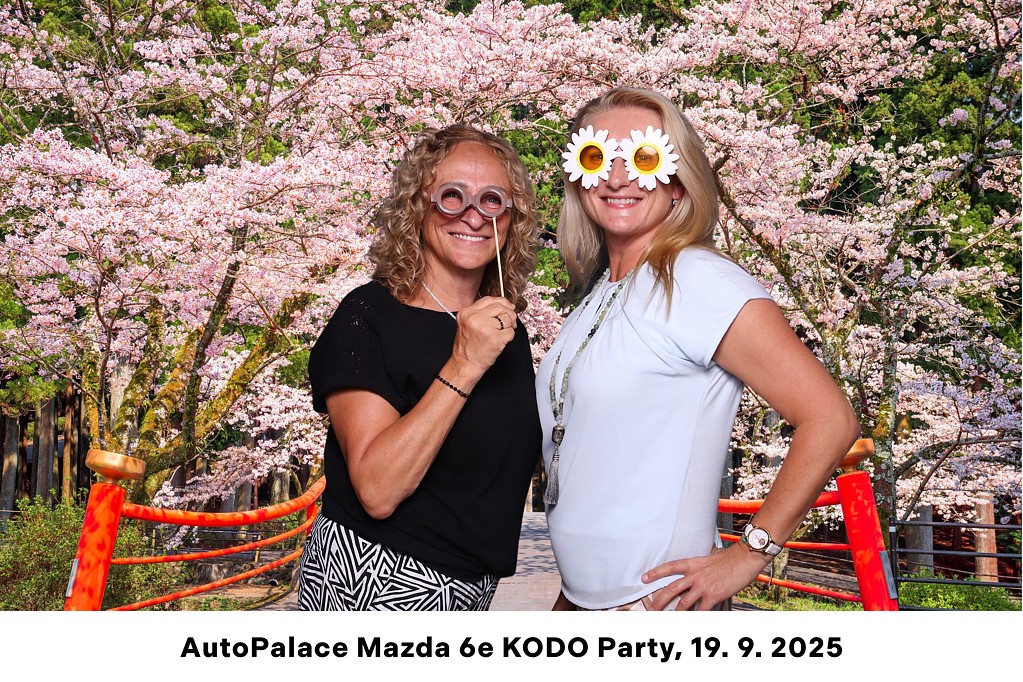 Autopalace party