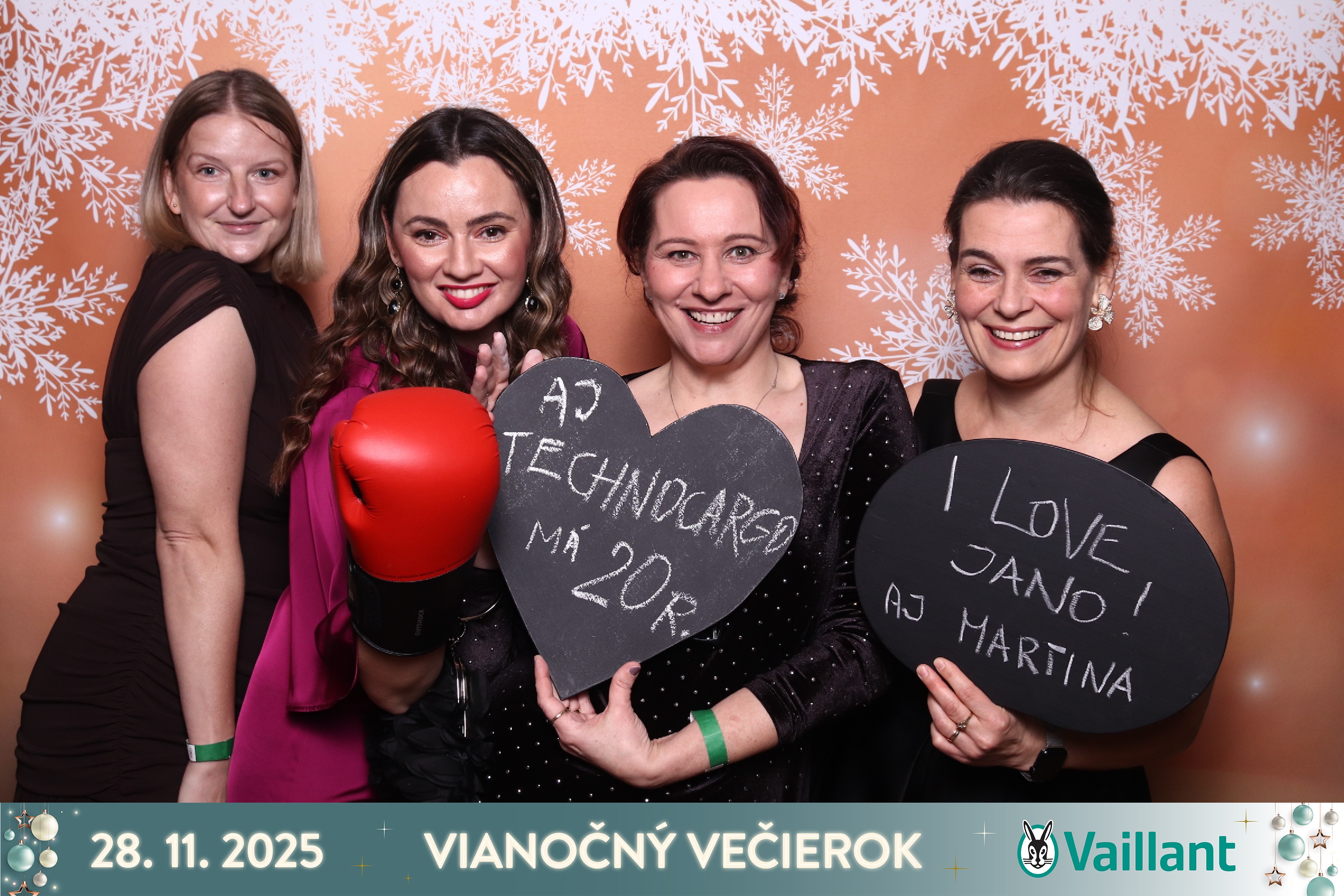 Vianočný Večierok Vaillant 